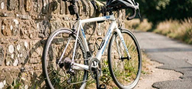Comment bien comparer le Triban RC 120 à d’autres vélos de sa catégorie ? Comment bien comparer le Triban RC 120 à d’autres vélos de sa catégorie ?